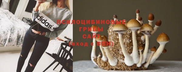хмурый Богданович