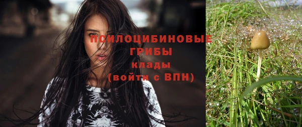 хмурый Богданович