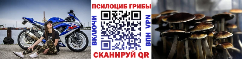 Галлюциногенные грибы мицелий  где найти наркотики  Дмитриев 